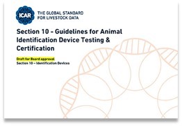 08 guidelines.jpg